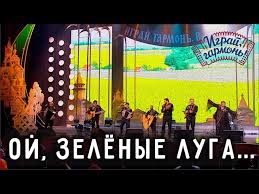 ой калина ой малина в речке талая вода текст Igraj Garmon Oj Zelyonye Luga Youtube