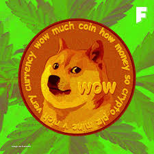 Snow night animals doge memes wallpapers hd desktop mobile backgrounds image source : Futurism On Instagram Laughs In Elon On An Auspicious Day In Popular Culture Joke But Not Actually A Joke Cryptocurrency Dogecoin Hit 42 Cents Or 0 420