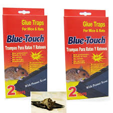 Glue traps are a type of rodent trap that some people use to catch mice, rats, and other critters. 4 Mouse Traps Sticky Glue Rat Mice Traps Disposable Boards Baited Trays 8x4 5 Walmart Com Walmart Com
