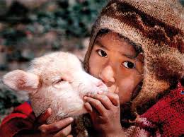 LIBRO DE INFANCIAS VI. Infancias, Patria y Bicentenario