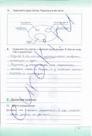 гдз по математике 2 класс рабочая тетрадь номер 2 Gotovye Domashnie Zadaniya Za 11klass K Uchebniku Mordkovicha A G Algebra I Nachala Analiza 3 Klass Matematika 2 Klass Matematika Klass