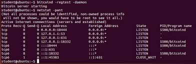 Proj Bitcoin 2 Adding A Second Node To Your Private Regtest Blockchain