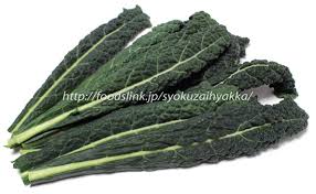 カーボロネロ 黒キャベツ Cavolo Nero イタリア野菜 旬の野菜百科