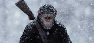 We did not find results for: Planeta Dos Macacos A Guerra Papo De Cinema