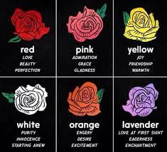 Pin By V On Wells Rose Meaning Flower Meanings Red And Pink