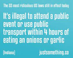 27 Stupid Laws That Are So Dumb, They Should Be Illegal