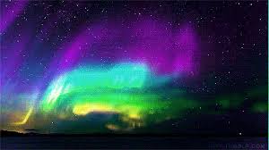 Https Encrypted Tbn0 Gstatic Com Images Q Tbn And9gct Iai Jlefwk1tpecekw2uswqjoavt08taow Usqp Cau