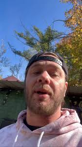 Day Two, The sun is shining, the pines are vibing, see you soon!, Into The  Pines: The High Harvest