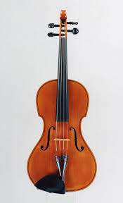 Image result for Viola