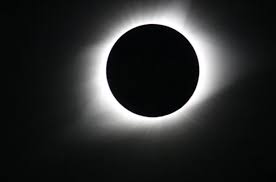 Eclipse solar em agosto: o que acontece com os animais e como isso altera seus ciclos naturais?