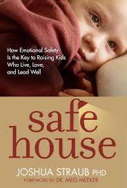 Safe House eBook by Joshua Straub PhD