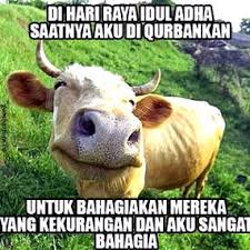 Gambar Kurban Lucu Harian Nusantara