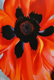 Georgia O 39 Keefe Red Poppy No 7 1928 Print Lithograph Bookplate Southwestern Art Floral Painting Southwestern Art Red Poppies