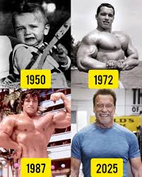 Arnold Schwarzenegger is an Austrian-American former professional bodybuilder, actor, film producer, and politician who served as the 38th Governor of California from 2003 to 2011. Born in Austria in 1947, he gained