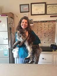 Vet to pet is 85% mobile services, which means we get to save you the hassle of driving! Mobile Veterinarian Veterinary Service In Round Rock Tx Emerald Veterinary Service