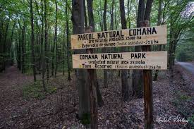 Anunturi case de vanzare giurgiu. Parcul Natural Comana Turism Si Fotografie Toamna