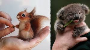 Cutest Baby Animals Videos Compilation Cute Moment Of The Animals Cute Baby Animal Videos Cute Baby Animals Baby Animals