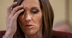 Author Allison P. Erickson