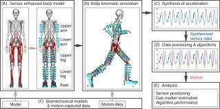 Estimating Wearable Motion Sensor Performance From Personal Biomechanical Models And Sensor Data Synthesis Scientific Reports