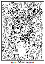 epingle sur printables coloriage batman et hulk