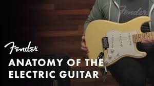 Anatomy Of The Electric Guitar Fender Youtube