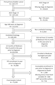 Bladder cancer is the fourth most common cancer in males, but it can also affect females. Geriatric Conditions And Treatment Burden Following Diagnosis Of Non Muscle Invasive Bladder Cancer In Older Adults A Population Based Analysis Journal Of Geriatric Oncology