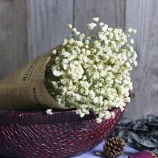 Check spelling or type a new query. 1 Piece Natural Dried Flowers Artificial Fake Gypsophila Diy Floral Bouquets Wedding Party Home Decor Gift Dry Flower Buy At The Price Of 5 61 In Aliexpress Com Imall Com