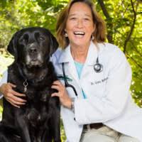 Check spelling or type a new query. Grace Bransford President Elect Candidate Avma American Veterinary Medical Association Linkedin