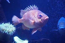 Die Schonsten Leipziger Sehenswurdigkeiten Koffergepackt Leipziger Zoo Zoo Leipzig Sehenswurdigkeiten