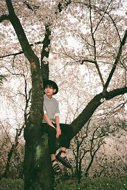 Bts The Most Beautiful Moment In Life Part 1 Photoshoot The Most Beautiful Moment In Life Pt 1 Bts Big Hit Entertainment Bts Concept Photo Bts Big Hit Bts Hyyh