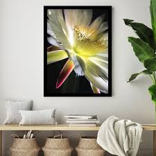 Bloom Parade Framed Printed Photograph, SHBF-08c-G-B-1418