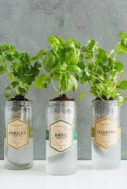 15 indoor herb garden ideas 2020