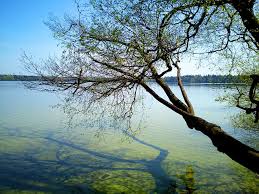 Despite the abundance of attractions, nature of belarus is the main hallmark of the country. Belarus East History Culture Travel Europe Landscape Slitez Lake Nature Pxfuel