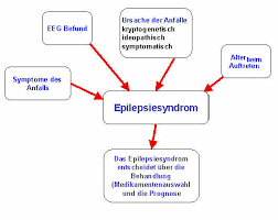 Epilepsie Syndrome