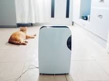 Do Air Purifiers Work? Research, Best Practices, and More