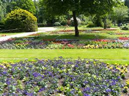 Seit 1956 ist er städtischer botanischer garten des bezirkes wandsbek. Botanischer Sondergarten Wandsbek Wikipedia