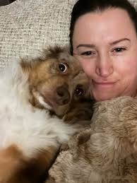 Blaze was groomed this morning!! He aced his report card 💕💕