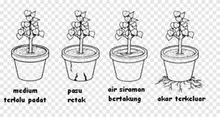Agad na isinasalin ng libreng serbisyo ng google ang mga salita, parirala, at web page sa mahigit 100 pang wika mula sa english. Light Nutrient Cookware Food Storage Containers Product Design Ciri Food Root Png Pngegg
