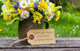 Maybe you would like to learn more about one of these? Spanisch Get Well Karte Mit Fruhlingsblumen Lizenzfreie Fotos Bilder Und Stock Fotografie Image 28385294