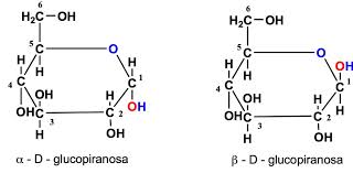 Estructura Y Funcion De La Glucosa Libro Electronico De Bioquimica Juan Jose Martinez Guerra