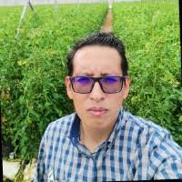 Luis Antonio Franco Álvarez