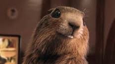 Et Pendant Ce Temps La Marmotte Elle Met Le Chocolat Dans Le Papier D Alu Passions Rh