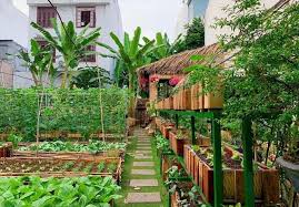 Saat ini biaya kebutuhan akan pangan sangat mahal dan juga meningkat. Kebun Di Halaman Rumah Rumah Impian Minimalis Facebook