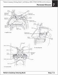 Download Pin On Respiratory Therapy Exam