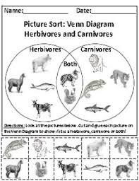 Herbivores And Carnivores Picture Sort Graph Activity Chart Activity Ri K 7