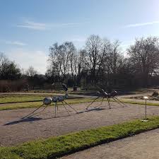 Während des ganzen monats finden in allen botanischen gärten der schweiz sonderveranstaltungen zum thema «klimawandel im pflanzenreich» statt. Botanischer Garten Bittet Um Spenden Radio Rsg