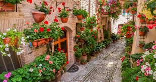 Arrosage, taille, rempotage, vous saurez tout pour réussir la culture du thym sur votre balcon. Pots D Exterieur Nourrir Tailler La Pause Jardin
