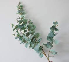 This Item Is Unavailable Etsy Flower Arrangements Silver Dollar Eucalyptus Seeded Eucalyptus