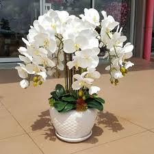 Gambar terkait dengan gambar vas bunga diatas meja. Kian Seri Home Deco Posts Facebook