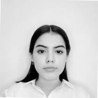 100+ "Dominguez-ochoa" profiles